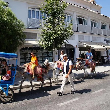 Elviria