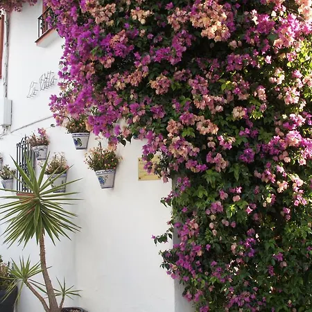 Appartement Elviria