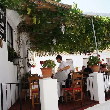 Elviria